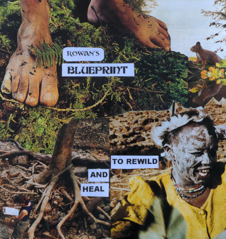 Collage about Rewilding. Collage about Rewilding.